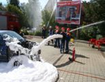 img_7809.jpg